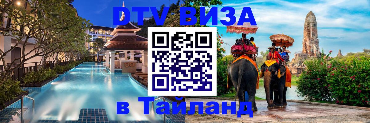 Оформление DTV визы под ключ: стоимость и тарифы, только загранпаспорт - 04.10.2025 